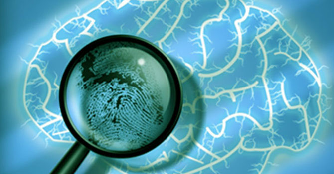 Psicología forense: cerebro y lupa